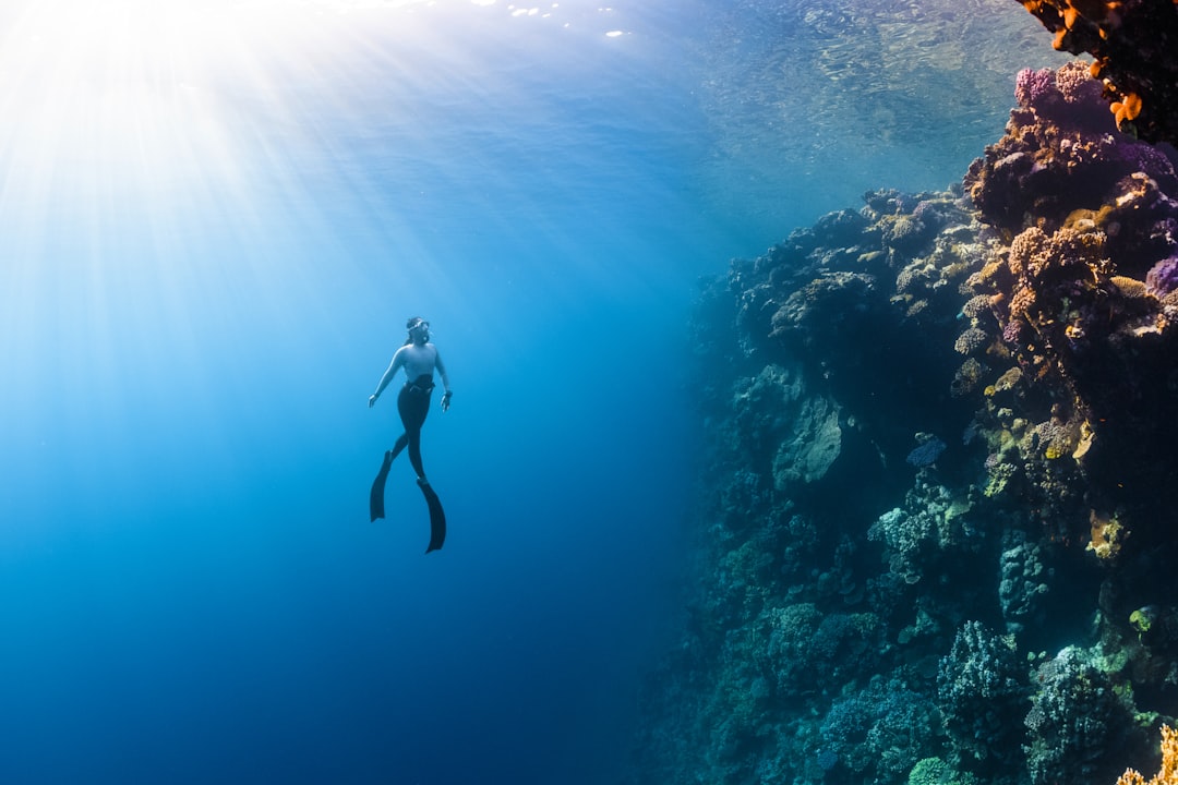 découvrez des expériences uniques qui enrichiront votre quotidien. plongez dans un monde d'aventures, de découvertes et de moments inoubliables qui éveilleront vos sens et stimuleront votre esprit.