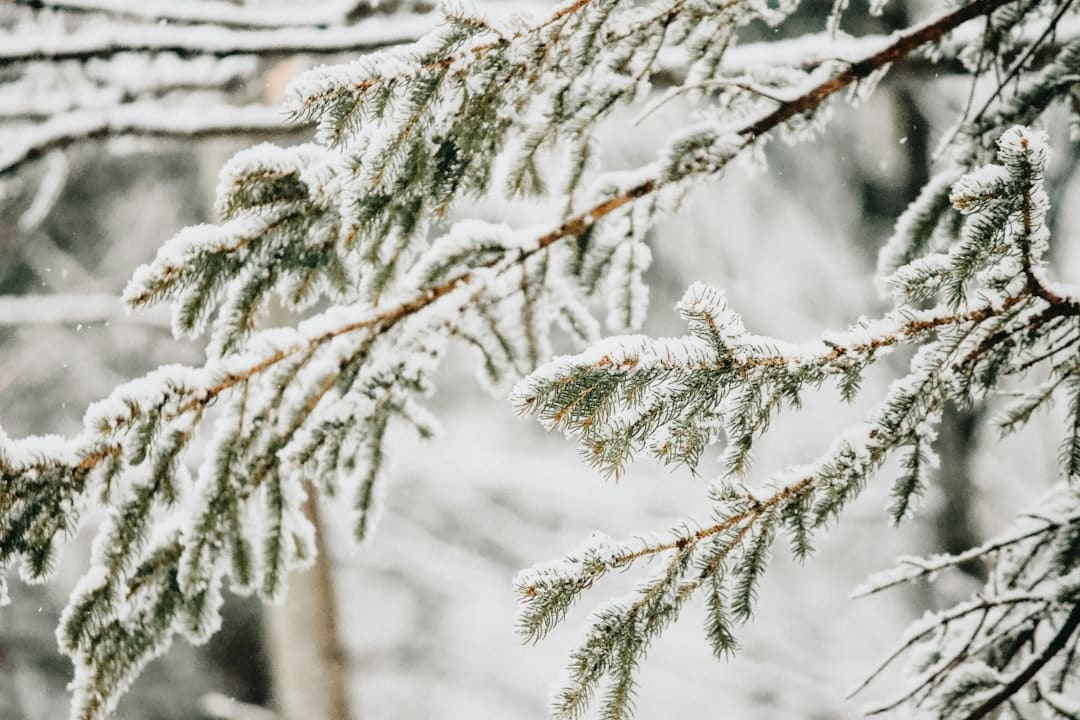 découvrez les bienfaits de l'air frais pour votre santé et votre bien-être. profitez d'une escapade revitalisante en plein air et reconnectez-vous avec la nature.