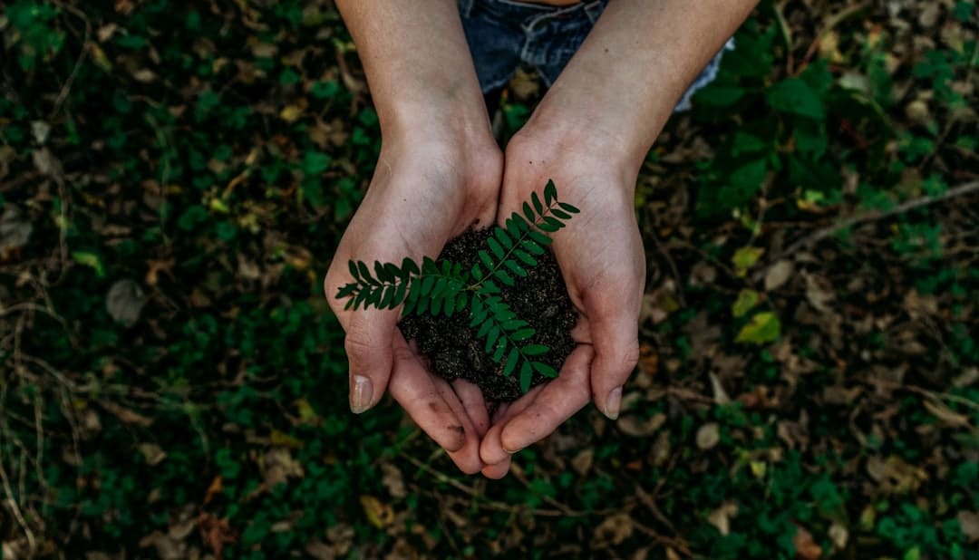 découvrez l'importance de la durabilité dans notre société moderne. explorez des initiatives écologiques, des modes de vie responsables et des pratiques durables pour un avenir meilleur. engagez-vous pour la planète et apprenez comment chaque geste compte dans la préservation de notre environnement.