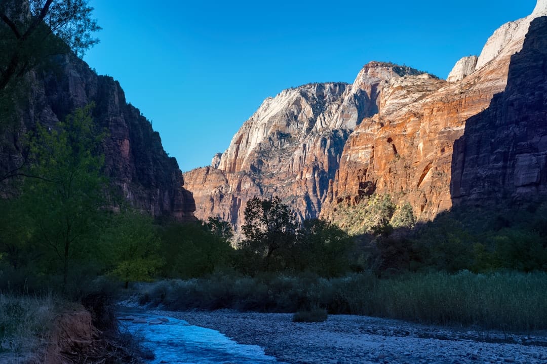 découvrez la beauté et la diversité des parcs nationaux, où la nature préservée rencontre des paysages époustouflants. explorez des sentiers de randonnée, observez la faune et plongez dans des expériences inoubliables en pleine nature.