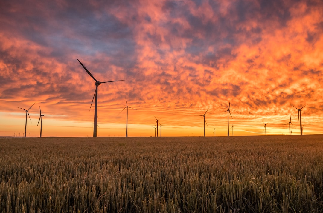 découvrez comment adopter une responsabilité environnementale, réduire votre empreinte écologique et contribuer à la protection de notre planète pour les générations futures.