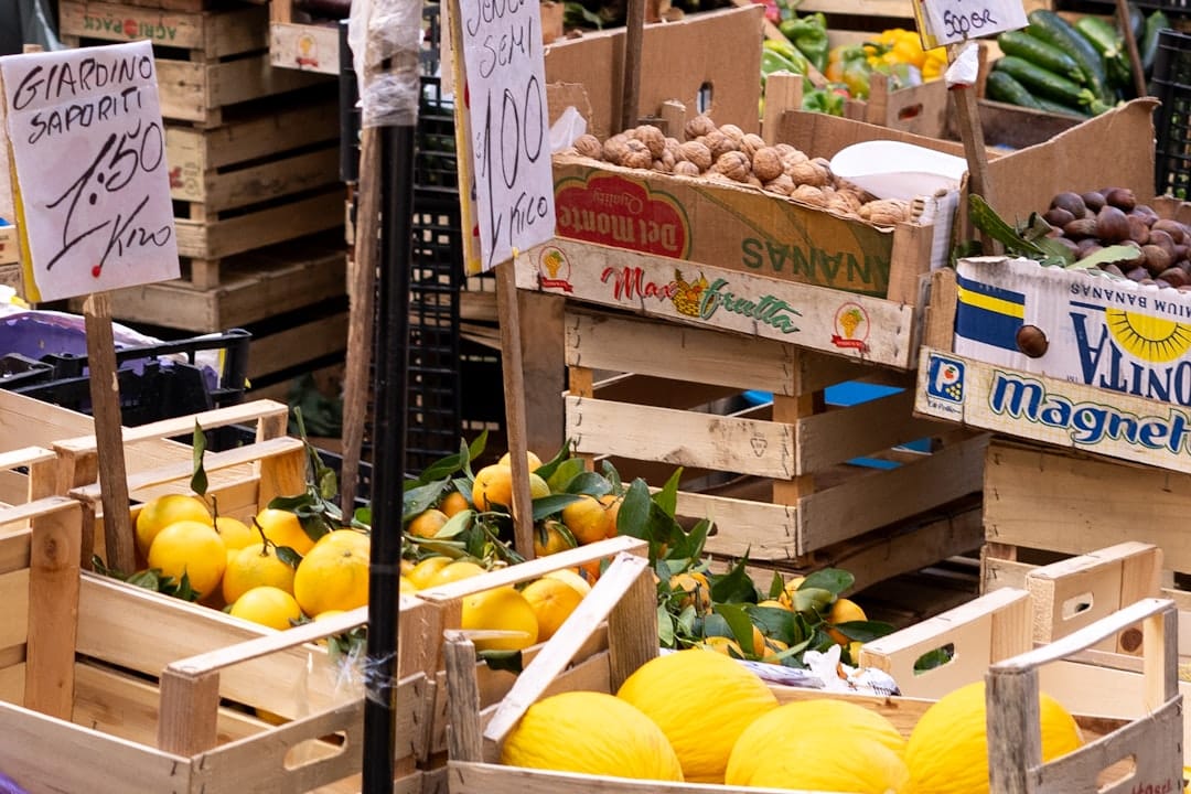 découvrez l'univers des vitamines : un guide complet sur les bienfaits, les sources alimentaires et les suppléments pour renforcer votre santé et votre bien-être au quotidien.